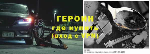 шишки Сосновый Бор