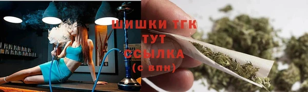 ECSTASY Белокуриха
