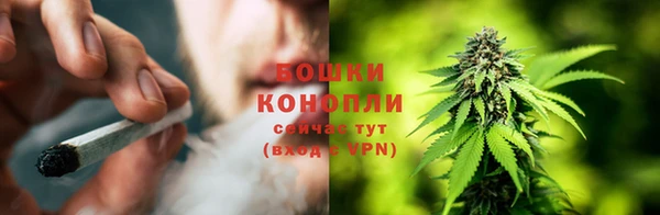 ECSTASY Белокуриха