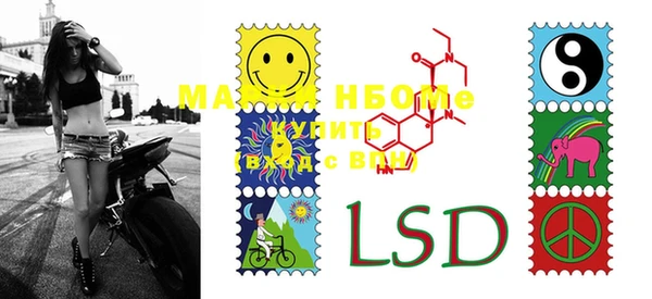 ECSTASY Белокуриха
