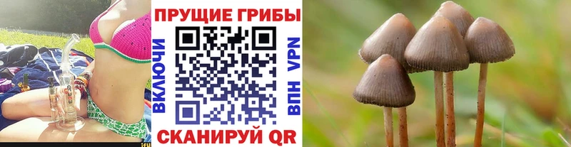 Псилоцибиновые грибы ЛСД  продажа наркотиков  Горнозаводск 